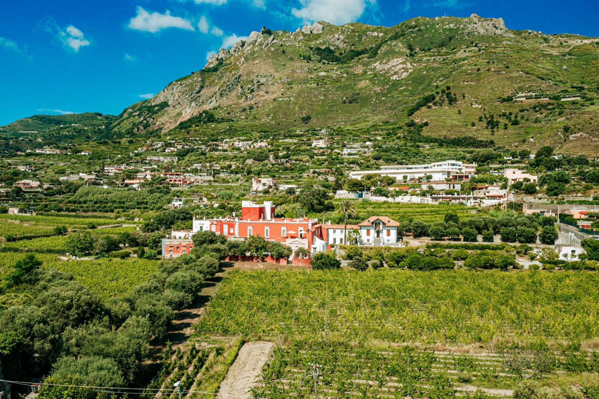Tenuta Calitto Wine Resort E Spa Ischia Luaran gambar