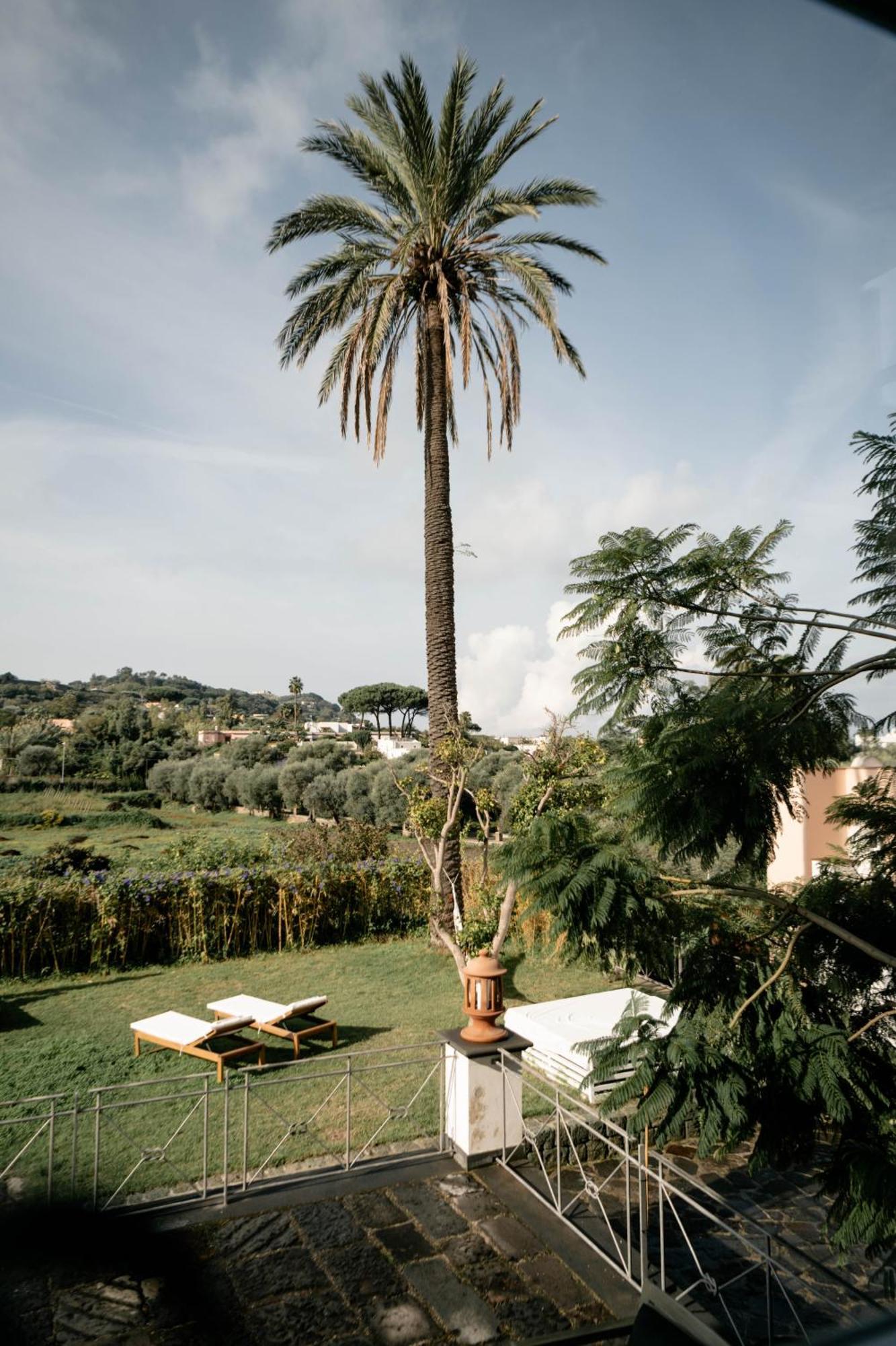 Tenuta Calitto Wine Resort E Spa Ischia Luaran gambar