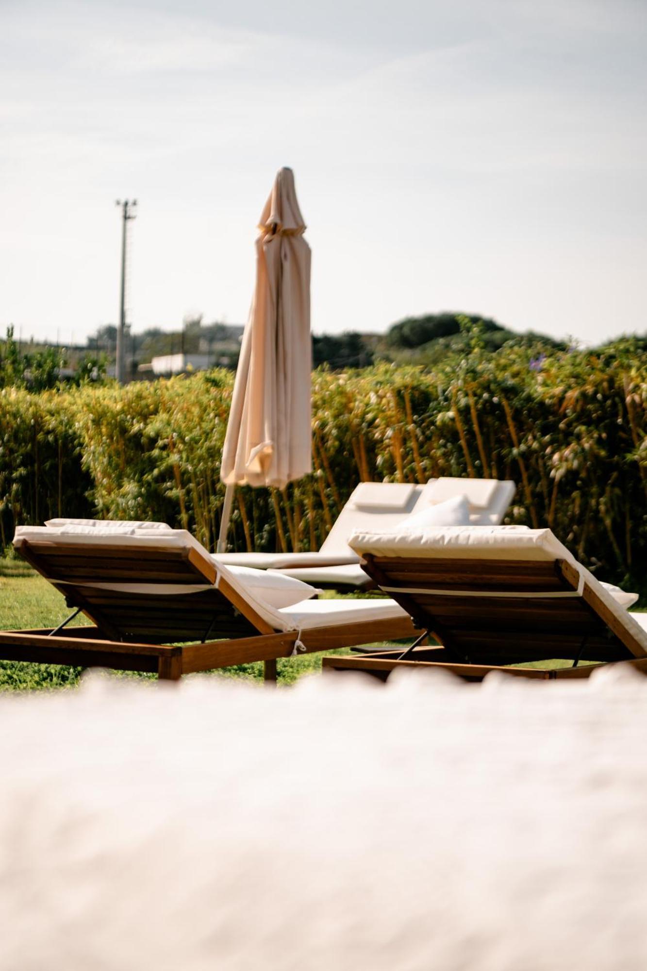 Tenuta Calitto Wine Resort E Spa Ischia Luaran gambar